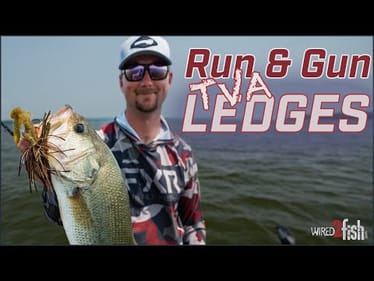Jake Lawrence's TVA Ledge Fishing Tips