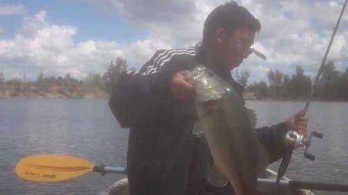 Largemouth Bass on Strike King Rage Craw