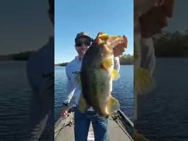 I CAUGHT A GIANT While STREAMING LIVE!!
