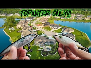 CRAZY Topwater Blowups From AGGRESSIVE FISH!!!