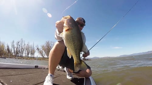 How To Adapt To a TOUGH Bite