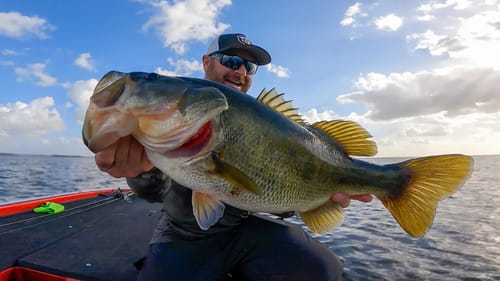 Underspins and Chatterbaits! Awesome Spring Bass Fishing!