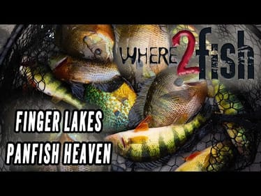 Where2fish - EP2: Multi-Species in the Finger Lakes