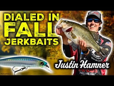 DIALED IN! Fall Jerkbait Bass Fishing - Bassmaster Classic Champ Justin Hamner