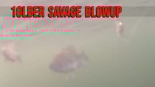 Insane Underwater Swimbait Blowup by 10lber on the Deadtwitch