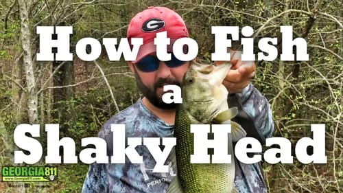 How to fish a Shaky Head Worm - Bass Fishing