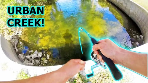 Fishing Clear URBAN CREEK! Unexpected Catch!