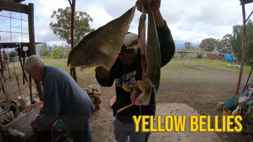 Catch and Cook Golden Perch aka Yellow Belly   Big Bass Dreams Australia Part 2