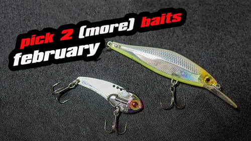 Pick 2 (More) Baits | February