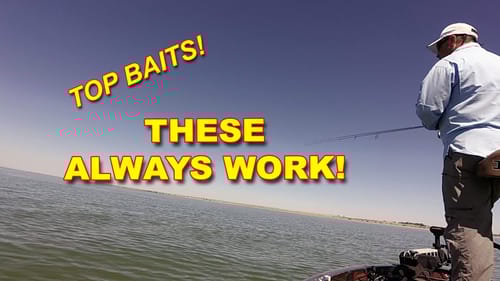 Cool Baits For Hot Weather | Bass Fishing