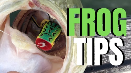 FROG Fishing For BASS (Bigguns Caught)