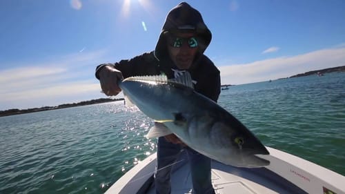 FLY FISHING THE FLATS