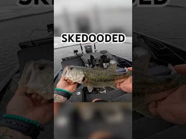 Skedooded on the first cast.