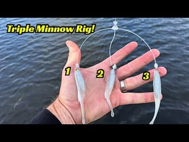 The Triple Minnow Rig! It’s As Lifelike As A School Of Baitfish!