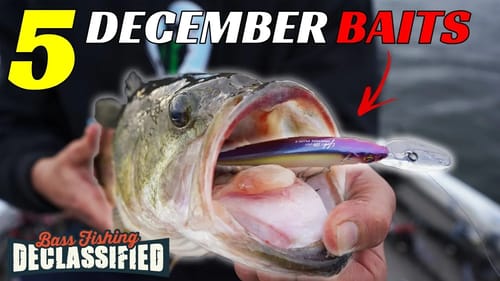 You're Missing Out On This DEADLY December Bait - December Bass Fishing Lures
