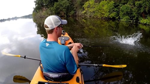 Topwater Strikes 2014