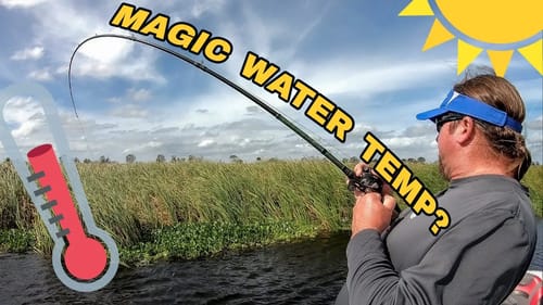 Water Temp is EVERYTHING in Bass Fishing