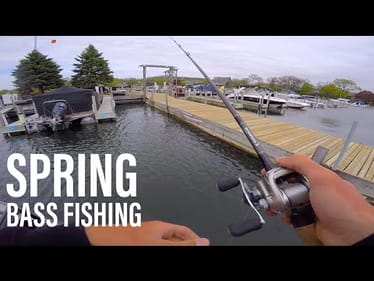 Finesse Fishing Docks For Spring Bass -- ft. Apbassin