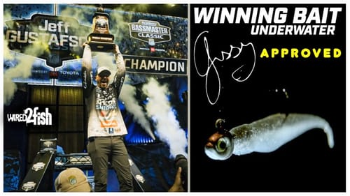 Gussy's Bassmaster Classic Winning Bait | Underwater Look