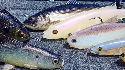 Swimbait Tips For Early Spring Bass Fishing!