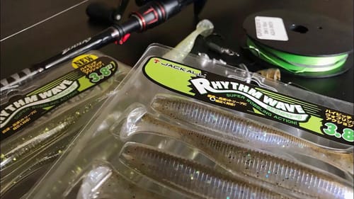 Most Productive Bait of the Year - Always Catches Fish!
