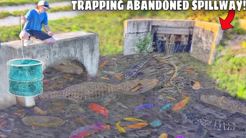 Trapping Aquarium Fish in ABANDONED SPILLWAY!