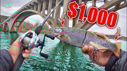 Fishing With the Most EXPENSIVE Swimbait I Own! (It WORKED!!)