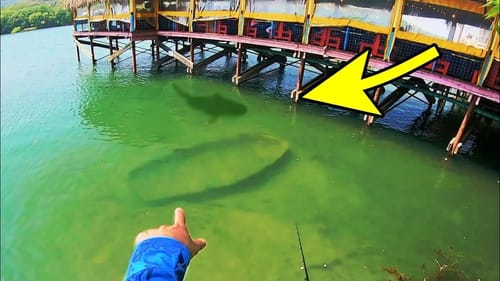 The STRANGEST THING TO EVER HAPPEN WHILE FISHING!! (IM SCARED)