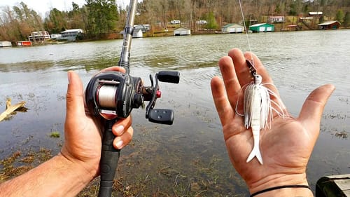 Pre-Spawn Bass HAMMER Chatterbaits in the Grass!!