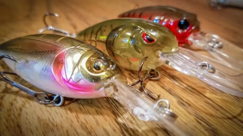 Forgotten Crankbaits For Fall Bass