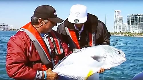 Mike Iaconelli's City Limits Fishing: Miami Multi Species!!!