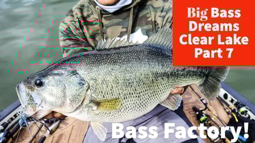 Fishing on the Bass Factory - Big Bass Dreams Clear Lake Part 7