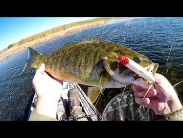 Fall Fishing Topwater Smallies!