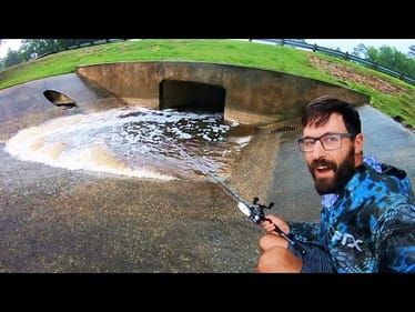 MONSTER FISH COME OUT in HUGE CITY FLOODING!