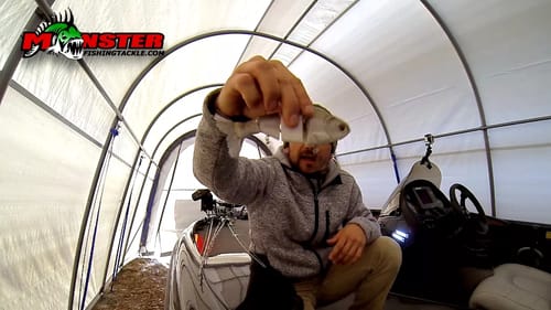 Fishing the Bull Shad for Trophy Bass