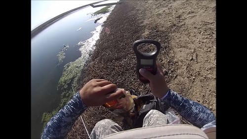 Bass Fishing in Firebaugh