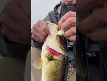 Florida bass wrecks CRANKBAIT