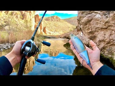 This Creek Is A Fisherman's Heaven! (My Best Day Yet)