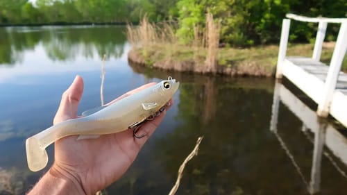 8in SWIMBAIT gets DESTROYED by ENORMOUS Bass (Bed Fishing)