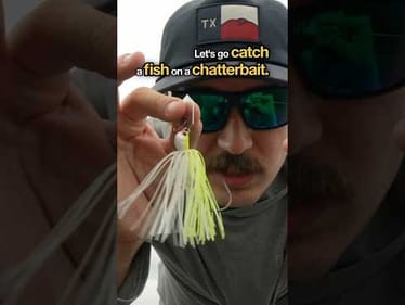 Catching Fish with a Chatterbait in Low Visibility Conditions #fishing
