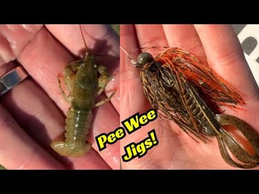 This Pee Wee Jig Is A Fish Catching Machine!