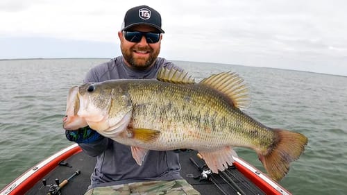 Catching BIG Bass In TOUGH Conditions! 30 lbs For 5 Bass!!!