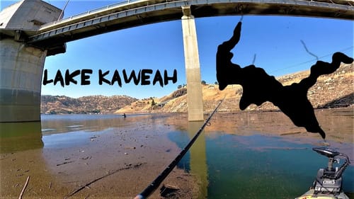 Tournament on Lake Kaweah