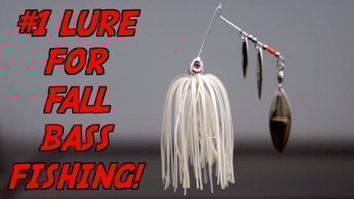 The ONLY Fall Bass Fishing Lure You NEED!