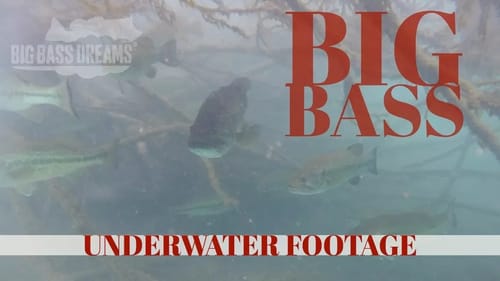 Largemouth Bass Underwater   Big Bass Dreams Underworld