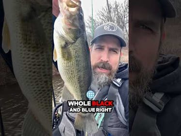 This Lure is Deadly in APRIL ☠️