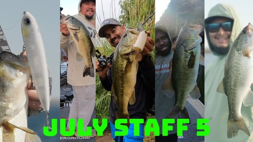 5 Under The Radar Japanese Baits You Should Try This Summer! // Staff 5 July