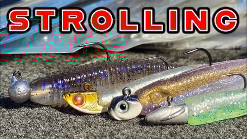 SPRING BUYER'S GUIDE: STROLLING FOR BASS ( Hover Rig, Mid Strolling, Moping, Damiki Rig )