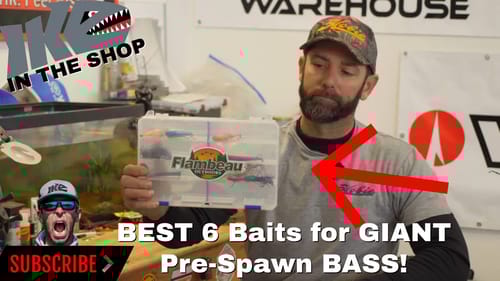BEST 6 BAITS for GIANT PRESPAWN BASS!