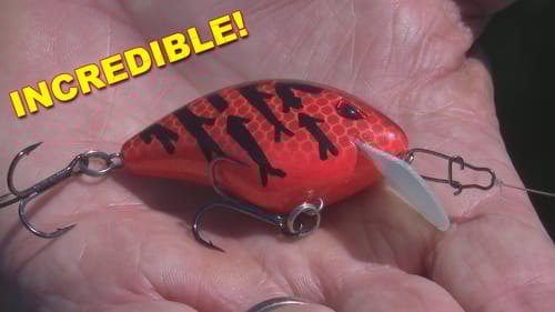 Shallow Water Crankbait Bass Fishing | Dean Rojas | Bass Fishing